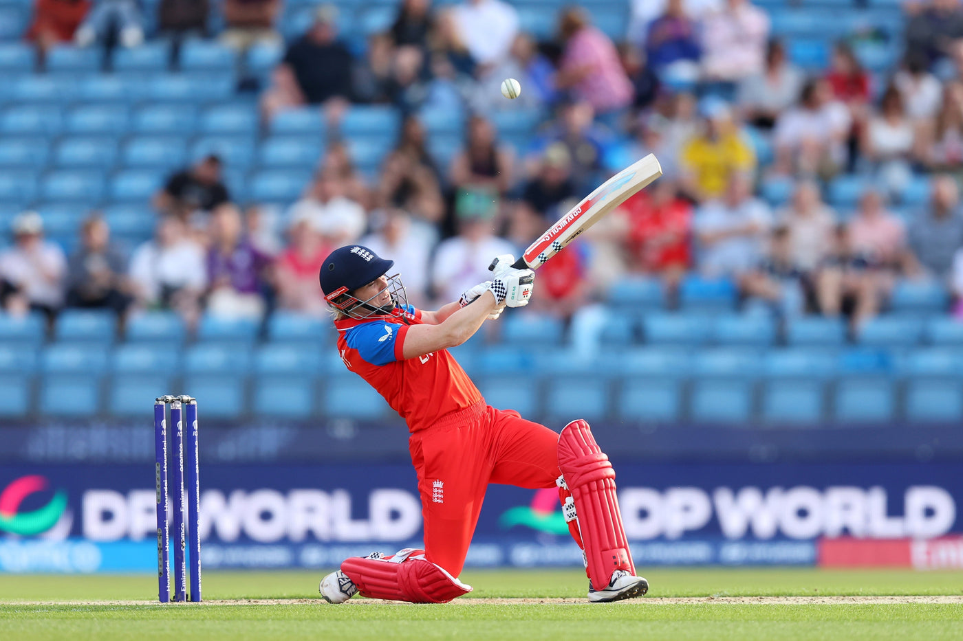 T20 World Cup Final Preview - Who will win cricket's showcase?