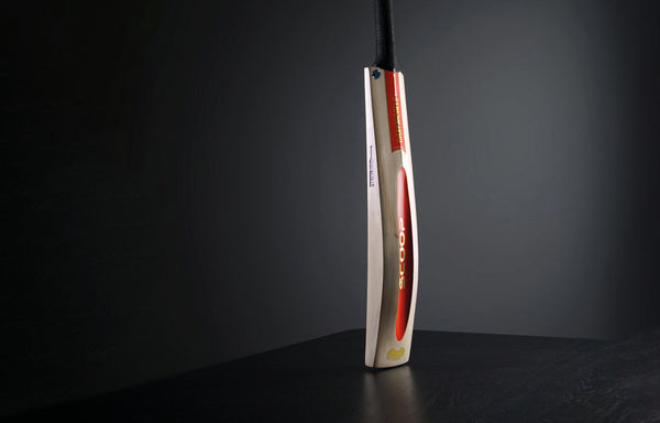 Icons of Innovation: The Scoop and Beyond