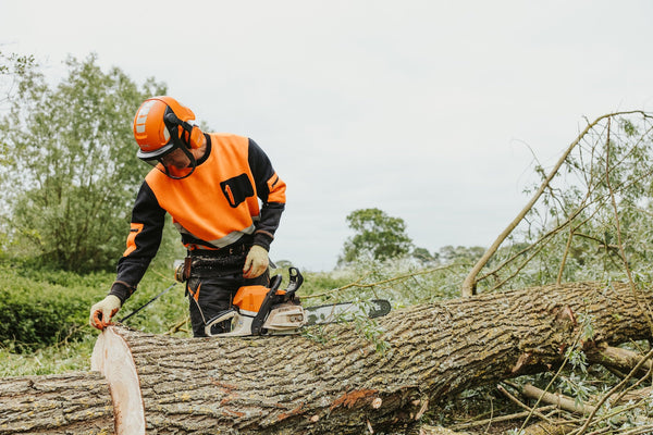 What Are Gray-Nicolls Cricket Bats Made From?