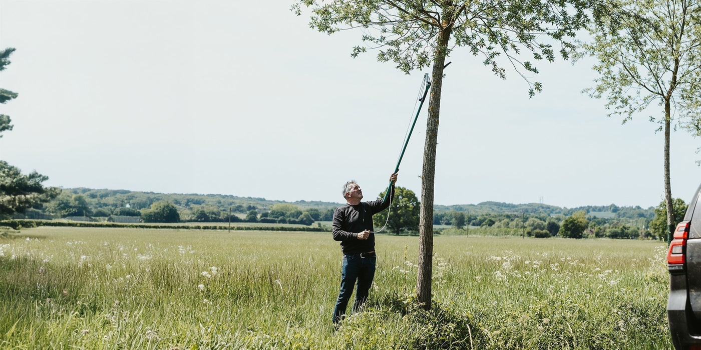 The Willow Story: From Source to Century