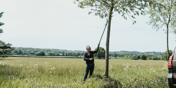 The Willow Story: From Source to Century