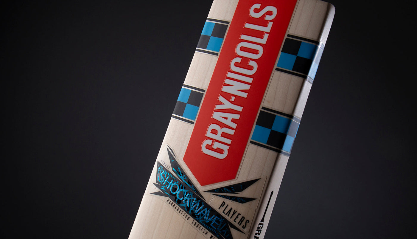 How to care for your new bat