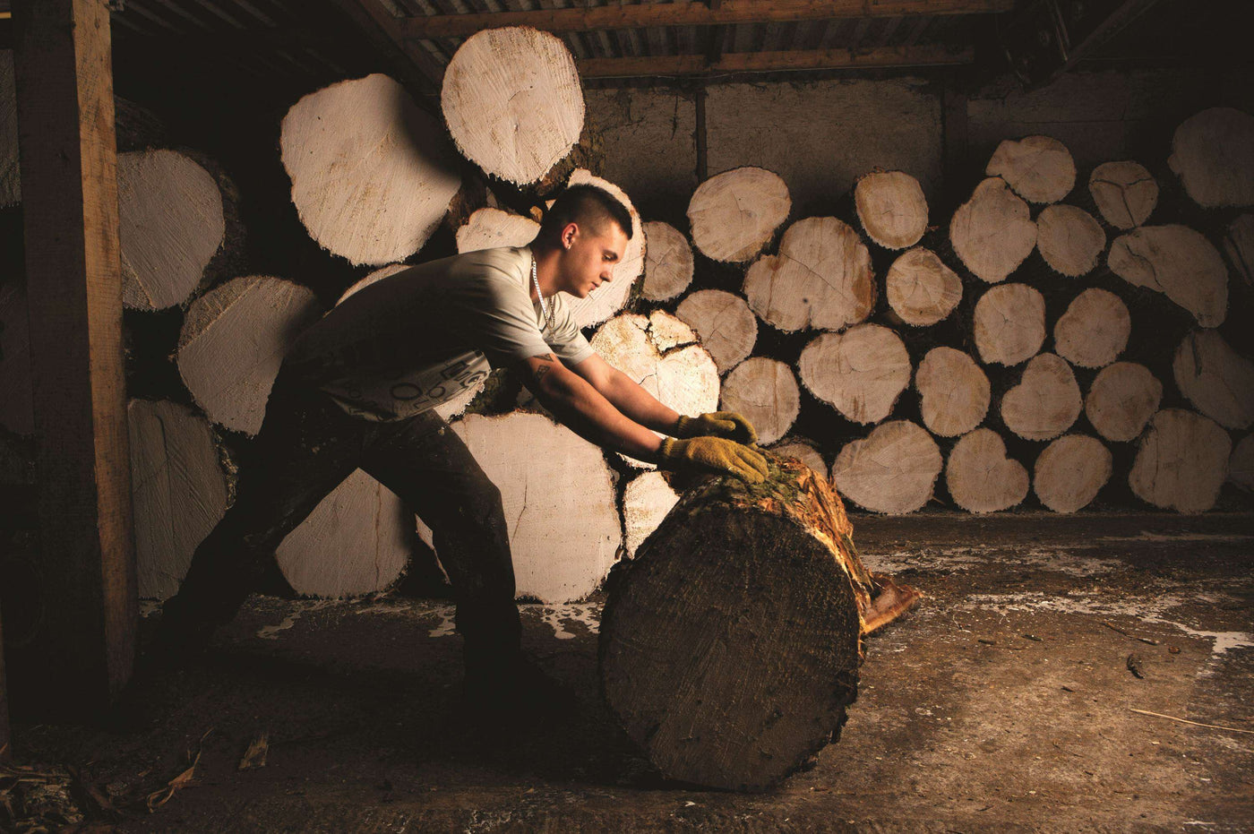 The Gray-Nicolls Willow Story