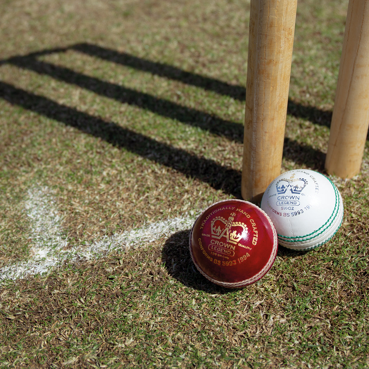 Cricket Match Balls