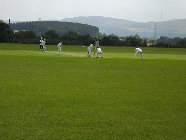 Carmel and District Cricket Club