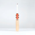 Classic Academy Cricket Bat - Adult