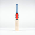 Havoc 1.0 Test Adult Cricket Bat