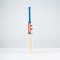 Havoc 1.0 GN350 Junior Cricket Bat