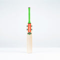 Havoc 1.3 GN350 Adult Cricket Bat