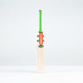 Havoc 1.3 GN350 Adult Cricket Bat
