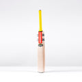 Havoc HB317 Warrior Junior Cricket Bat