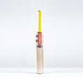 Havoc HB317 Warrior Junior Cricket Bat