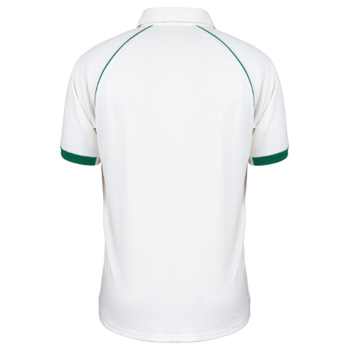 1177%5Cproducts%5C48370%5Ctemplate801.png