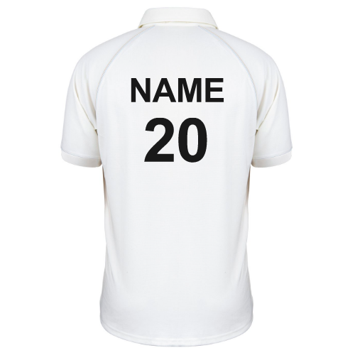 2239%5Cproducts%5C91053%5Ctemplate1106.png