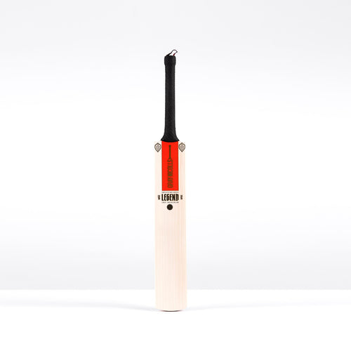 Gray Nicolls V-Pro