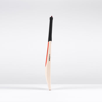 Legend Gold Edition Adult Cricket Bat