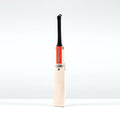 Legend Platinum Edition Adult Cricket Bat