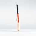 CAAB26English Willow Bats Legend PLATINUM Edition, Rear Right