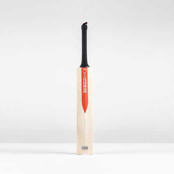 Legend Silver Edition Adult Cricket Bat