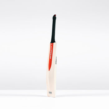 Legend Silver Edition Junior Cricket Bat
