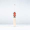 CABA26English Willow Bats Powerscoop Pro Bat, Face