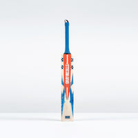 Havoc 1.0 Pro Junior Cricket Bat