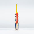 Havoc HB317 GN550 Junior Cricket Bat