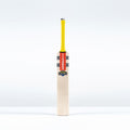CAGA26English Willow Bats Havoc HB317 Pro Edition Bat, Face