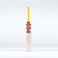 CAGA26English Willow Bats Havoc HB317 Pro Edition Bat Face Left