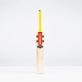Havoc HB317 Test Vlite Adult Cricket Bat
