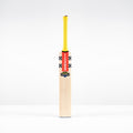 Havoc HB317 Test Junior Cricket Bat