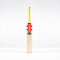 CAGC26English Willow Bats Havoc HB317 Test Face