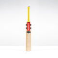 Havoc HB317 GN550 Junior Cricket Bat