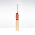 CAGE26English Willow Bats Havoc HB317 GN550 Face