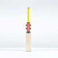 CAGH26English Willow Bats Havoc HB317 GN330+ Bat, Face