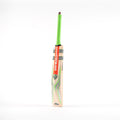 CAHA24English Willow Bats Tempesta Gen 1.3 5 Star Bat Main