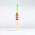 Havoc 1.3 Pro Adult Cricket Bat