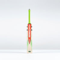 Havoc 1.3 GN350 Adult Cricket Bat