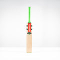 Havoc 1.3 GN550 Adult Cricket Bat