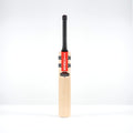 CAIE26English Willow Bats Imperia 600 Giant Face