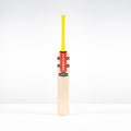 CAJB26English Willow Bats Imperia 1.1 Pro Lite Face