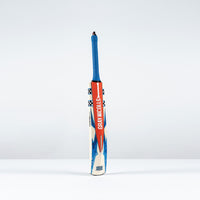 CBAB26Kashmir Willow Bats Havoc 1.0 Blast 4 Bat, Rear Right