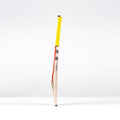 CBBA26Kashmir Willow Bats Havoc HB317 Warrior SH Bat, Profile