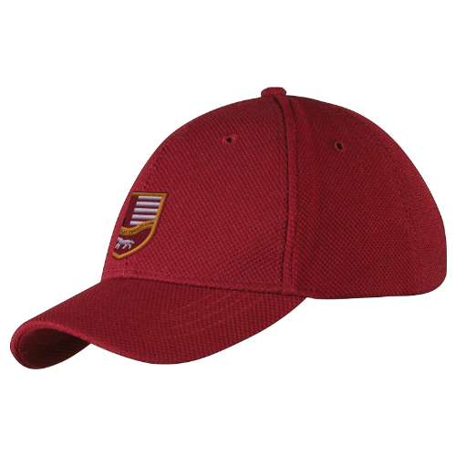 1257%5Cproducts%5C31141%5Ctemplate162.png