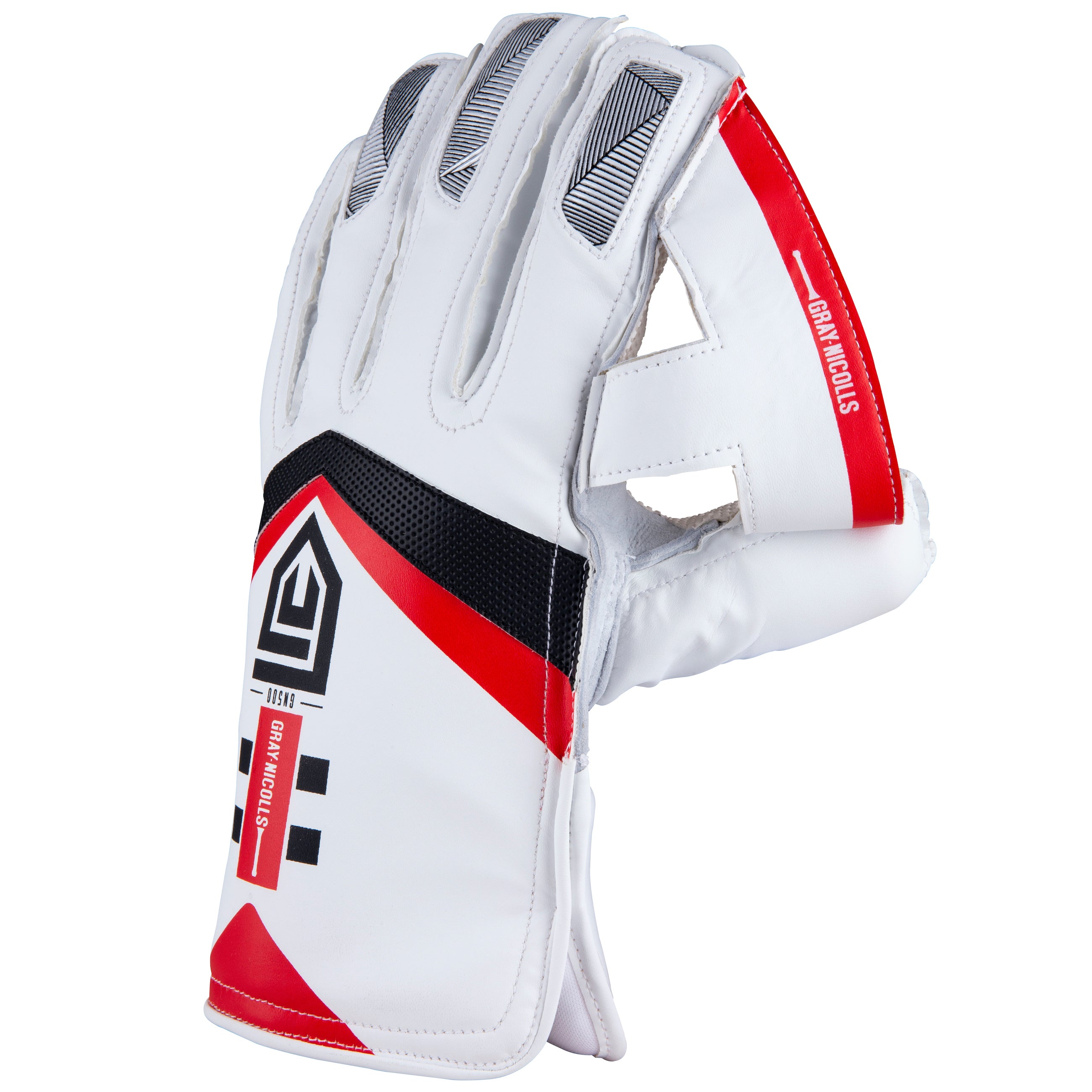GN500 Wicketkeeping Glove