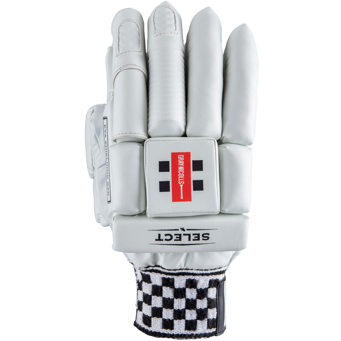 CGAE18Glove Select M_rh Back