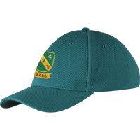 cchc13001hat cricket cap green.png