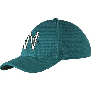 cchc13001hat cricket cap green.png