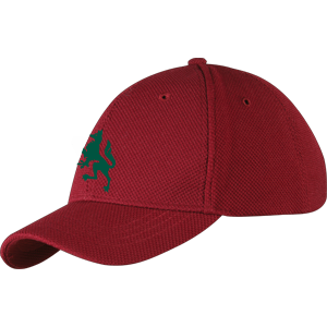 cchc13001hat cricket cap maroon.png