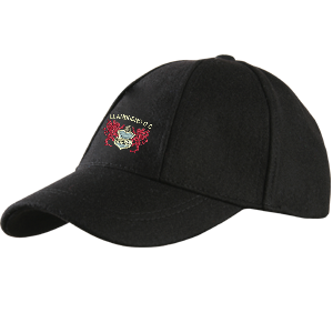 ccid14002headwear melton cricket cap black.png